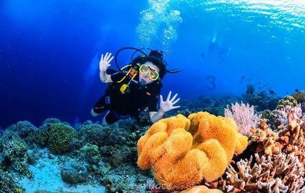 提问堂-找女人跛了男主是医生的小说?有问必答平台
